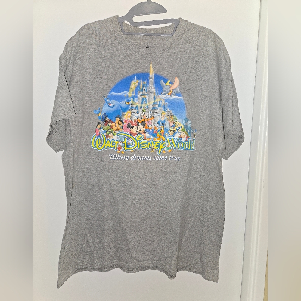 Gray Walt Disney World Graphic T-Shirt